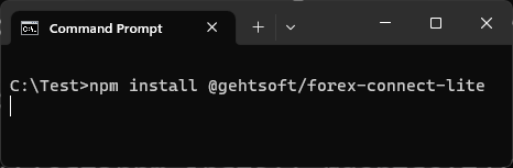NPM Install