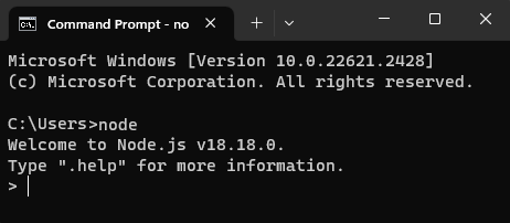 NPM Install